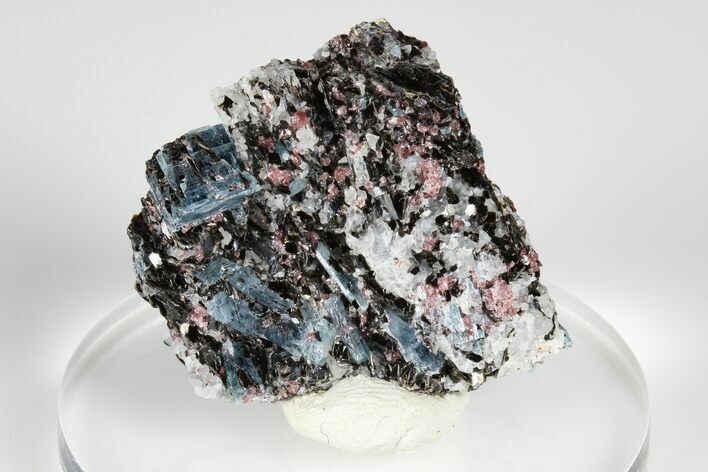 Blue Kyanite & Garnet in Biotite-Quartz Schist - Russia #178928